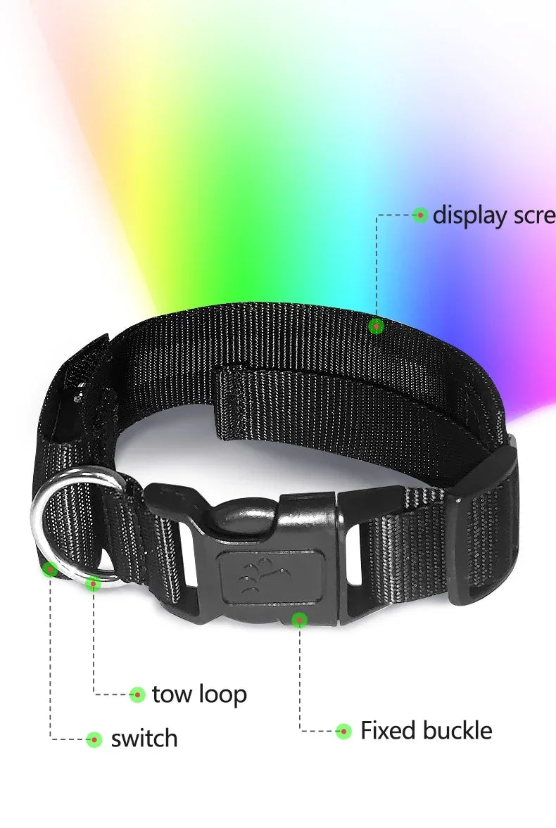 Collier LED personnalisable pour Chien – Sécurité Nocturne Multilingue avec Affichage RGB