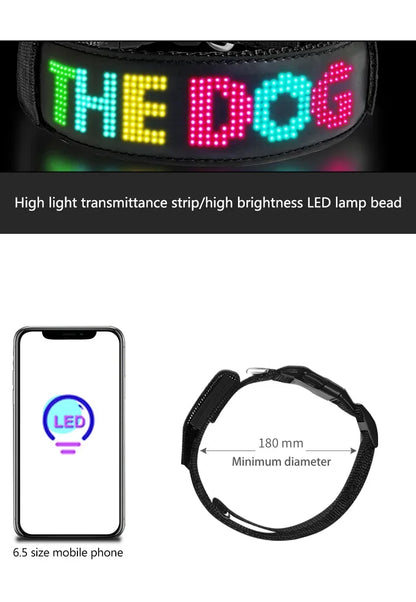 Collier LED personnalisable pour Chien – Sécurité Nocturne Multilingue avec Affichage RGB
