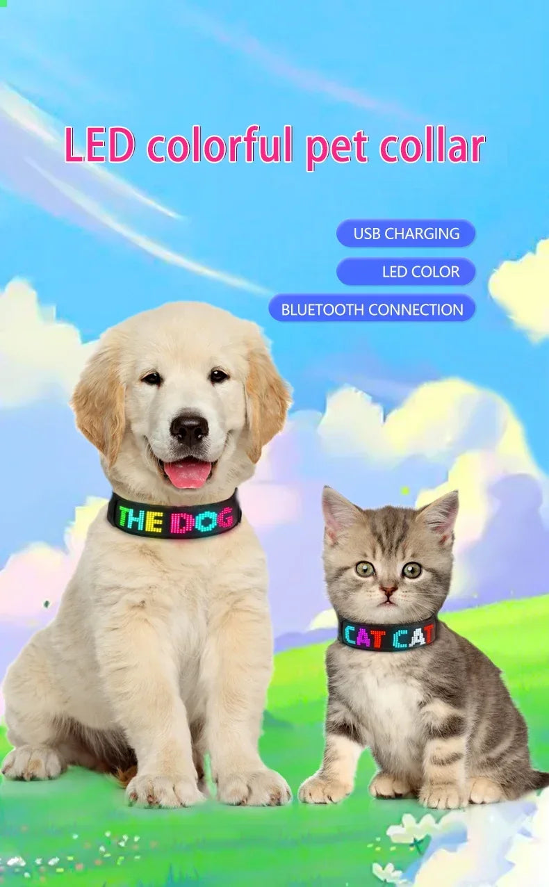 Collier LED personnalisable pour Chien – Sécurité Nocturne Multilingue avec Affichage RGB