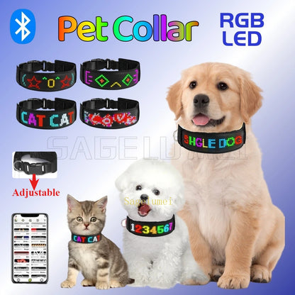 Collier LED personnalisable pour Chien – Sécurité Nocturne Multilingue avec Affichage RGB