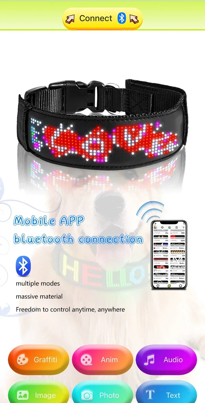 Collier LED personnalisable pour Chien – Sécurité Nocturne Multilingue avec Affichage RGB