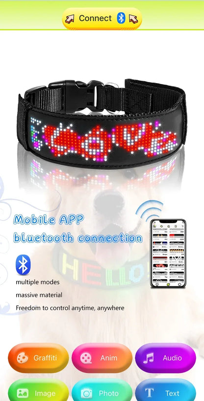 Collier LED personnalisable pour Chien – Sécurité Nocturne Multilingue avec Affichage RGB